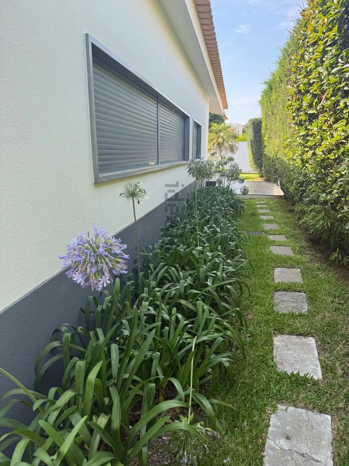 Garden path along the side of the house